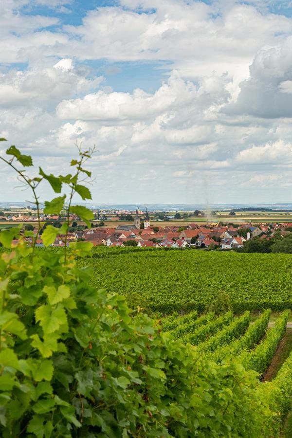 Landgasthof May Willanzheim Zewnętrze zdjęcie