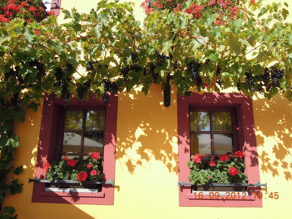 Landgasthof May Willanzheim Zewnętrze zdjęcie